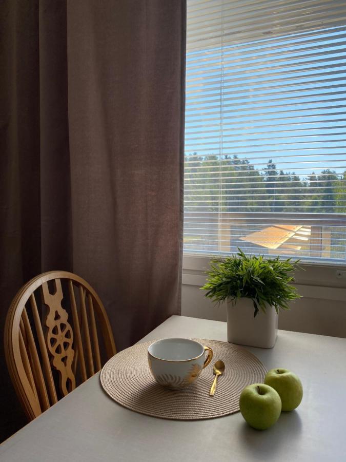 Myllykoski Apart Ummeljoki エクステリア 写真